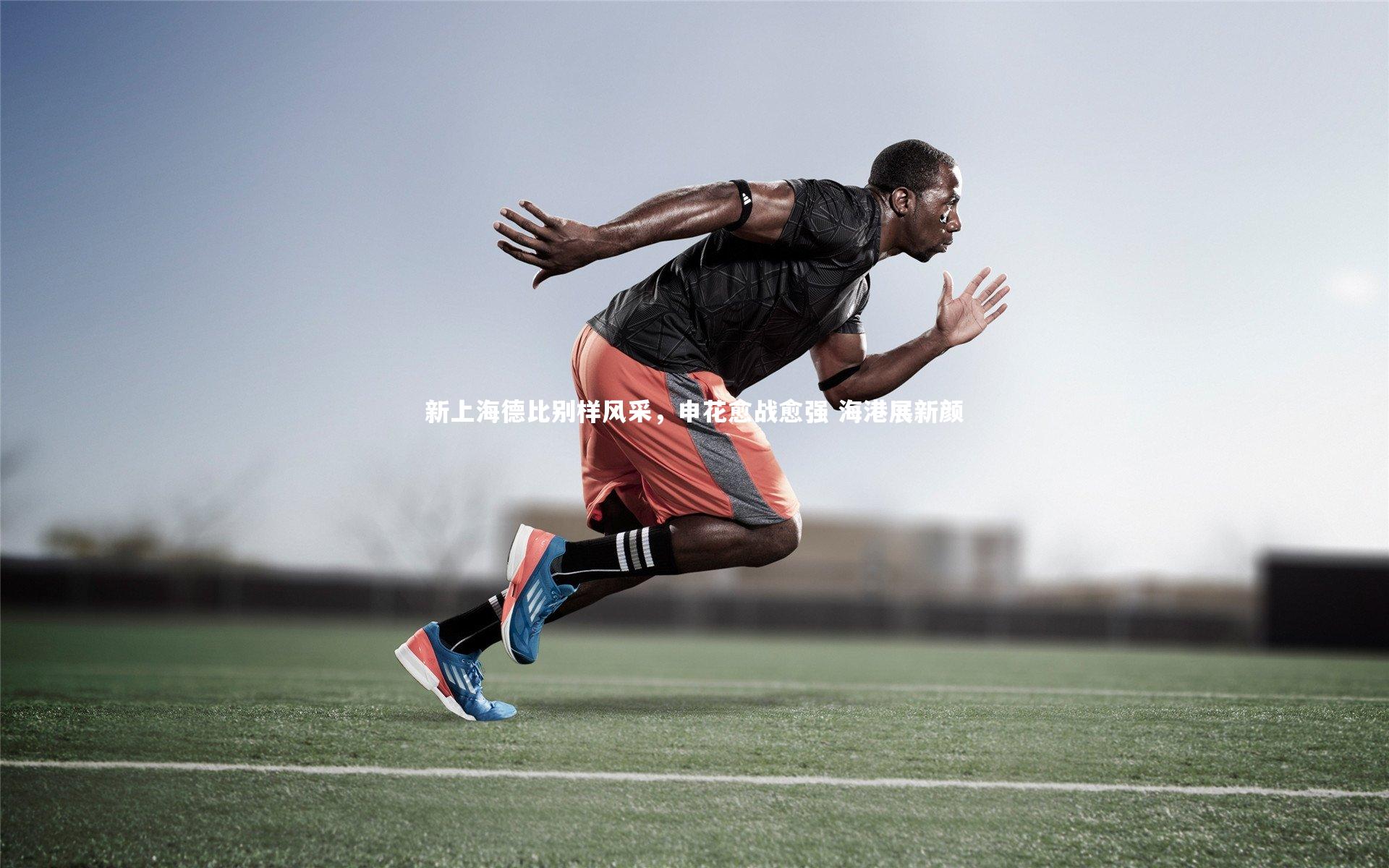 新上海德比别样风采,申花愈战愈强 海港展新颜